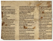 0001rPT_AC_Frammento2