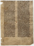 0001rPT_AC_Frammento0034
