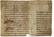 0001rPT_AC_Frammento0043